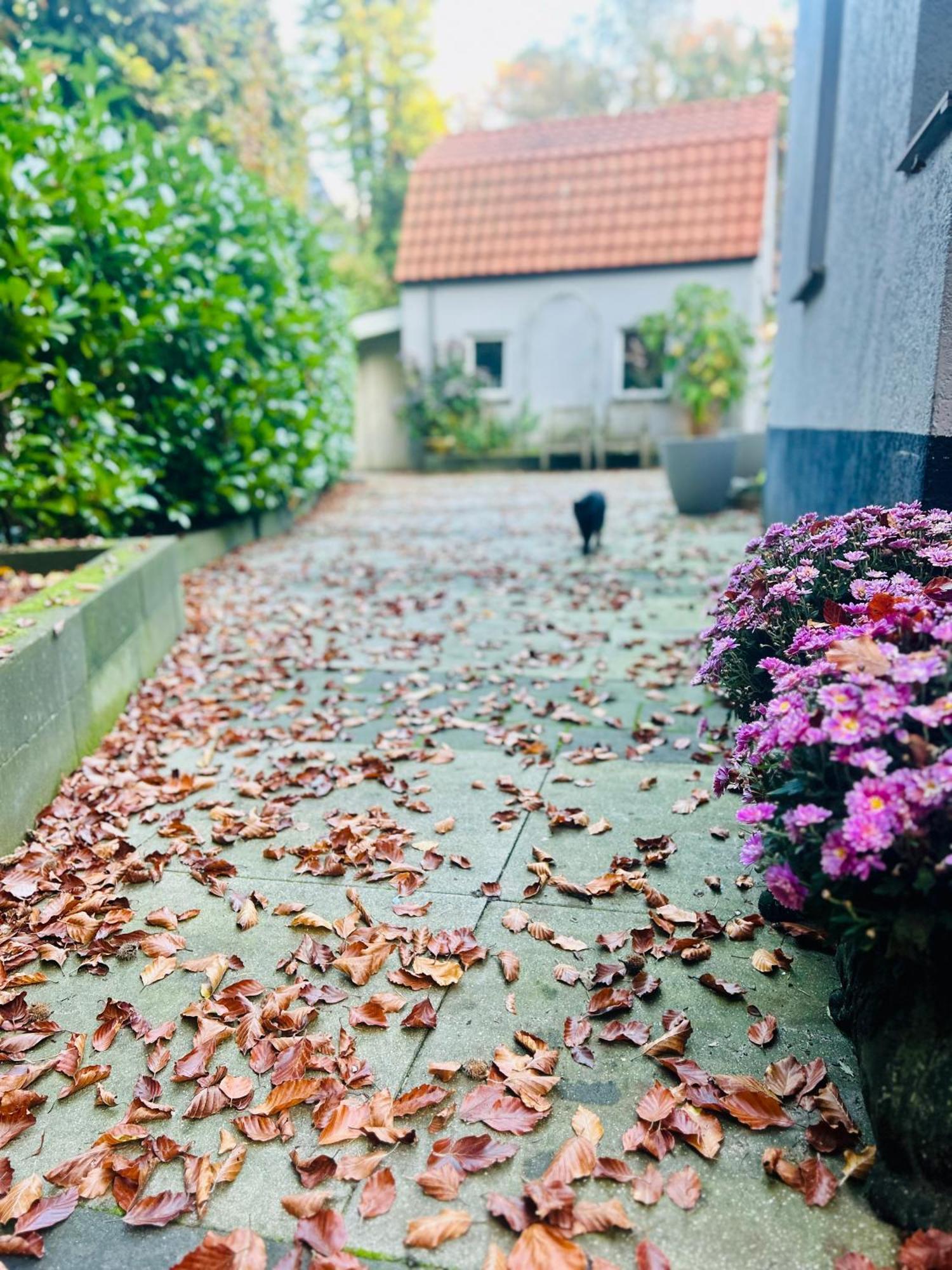 B&B In De Aap Gelogeerd Apeldoorn Exteriör bild